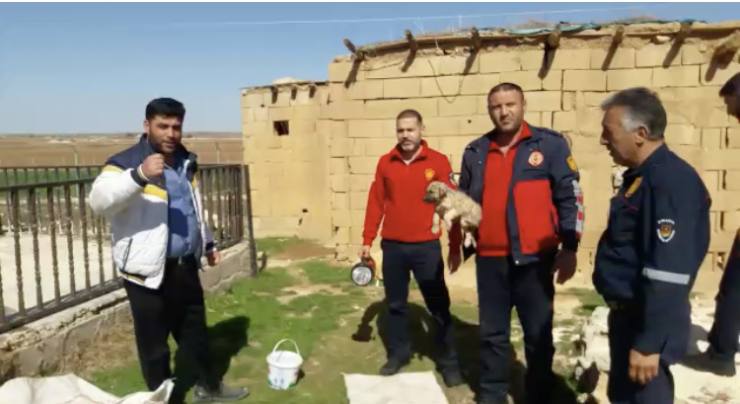 Urfa Haberleri Sondaj kuyusuna düşen yavru köpek kurtarıldı