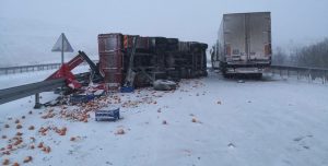 58228570 1D28 4640 AEF1 AE20CD96A43A