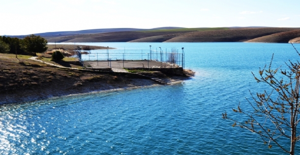 B100F0E9 3D39 43C5 B8B1 703F69DA8E41