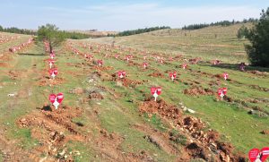 ÖMÜRLÜK HEDİYE 6 B3394710 6530 4197 BC03 A7F0E8127803