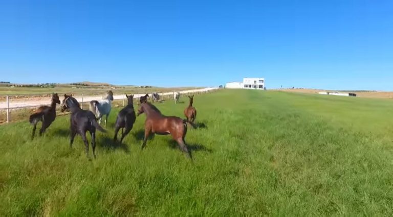 FC623CC1 A97B 428C B2F4 49BCA0EC067B