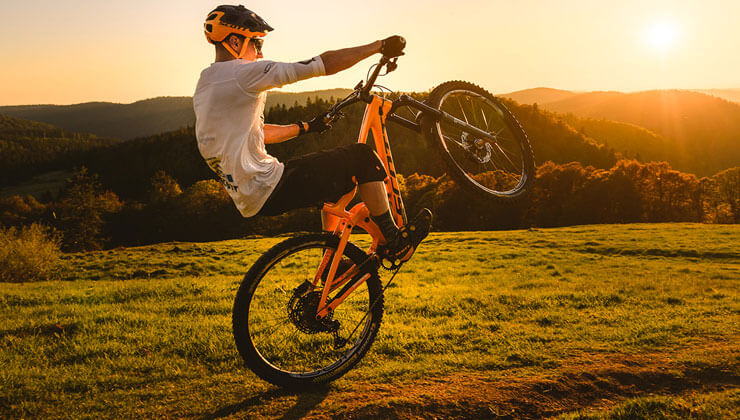 bakan koca vaka artisinin yuzde 125 oldugu ili acikladi