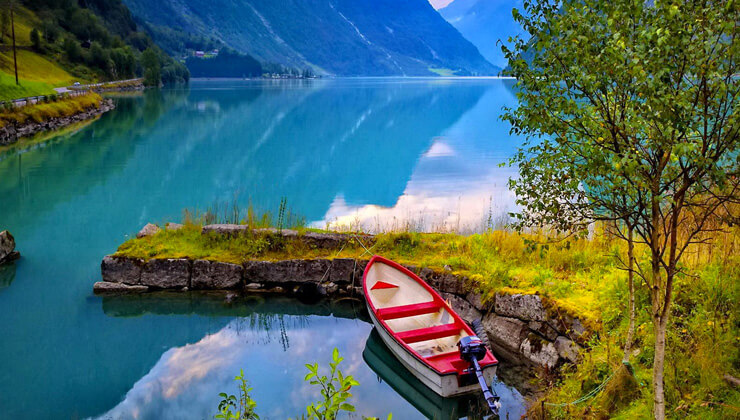 bu aslan sizce ne yapiyor