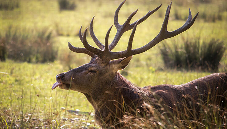 deprem sirasinda kayalar koptu toz bulutu yukseldi