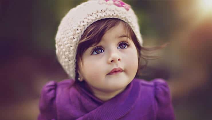 kosta rika8217da dunya8217nin en zehirli yilani yetkililer tarafindan karantina altina alindi