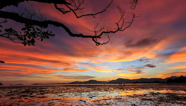 onlarca boynuzun arasinda canli canli.