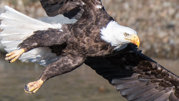 van8217da dehsete dusuren olay tonlarcasi kurtarildi