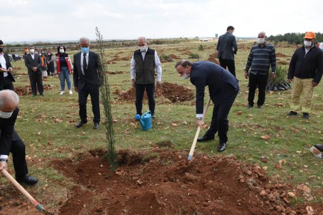 8 Mart Ağaçlandırma!... 10 00F202B7 D7D4 4F39 9D85 1122E5A1C6FA