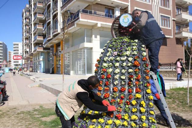 Parklara Bahar geldi 11 1D855532 C43A 4589 A051 0DC6C8E32937