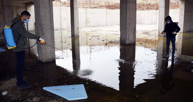 larva ile mücadele erken başladı 15 261904B1 DF98 469D B73E 7310CFD717AF