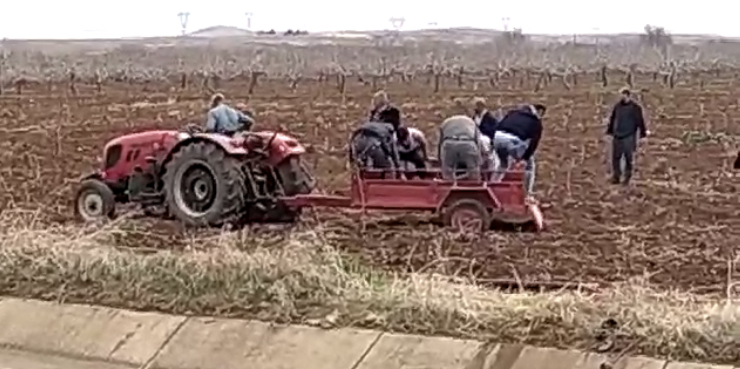 2A8A5A2C F8A9 422F 879C CAD3C1273801