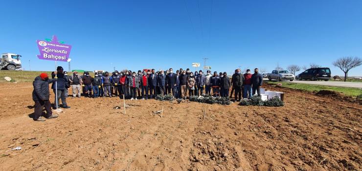 38B28AE7 26FD 4681 8E0F 5F4985D1D6B0