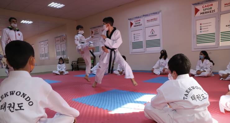 3D6E8D5D 3973 4421 85DB 489B3329571F