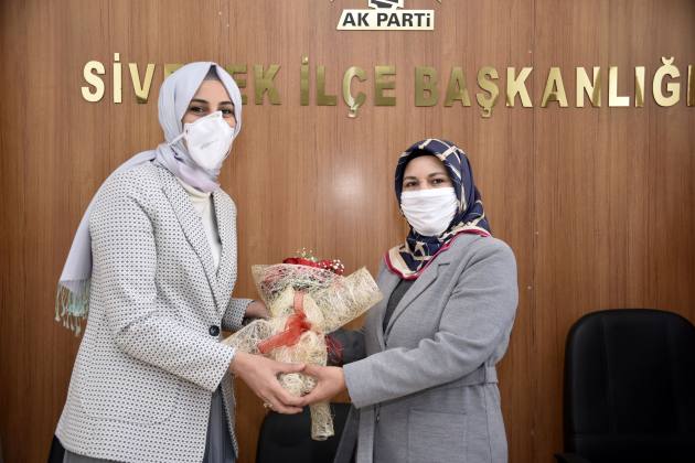 5644BCE1 88EF 4E84 BC26 B79BA9096BCE