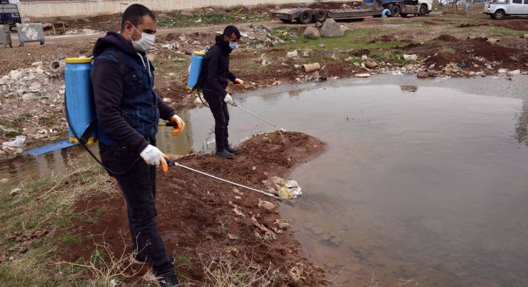 larva ile mücadele erken başladı 16 7AAC7376 675F 41AA 8471 A46DACF98C7C