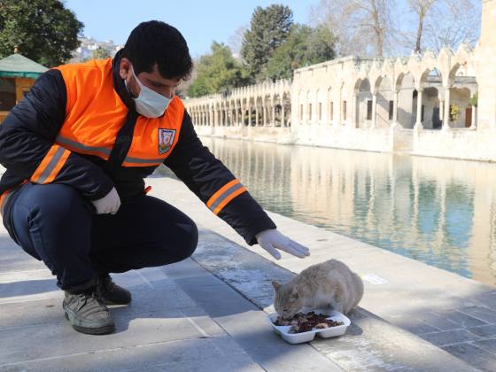 8AA4CE82 CDAB 46E0 92E8 A6A4BC7AFDAD