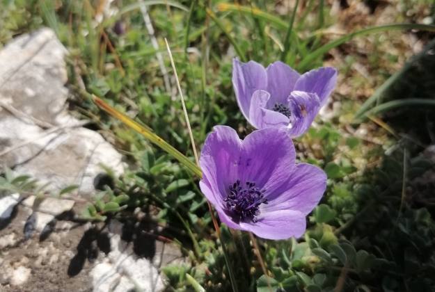 97089DB2 2541 4C6E A0F2 8512579D286F