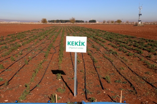 A91EA70B C466 438F B188 B94F40E63665