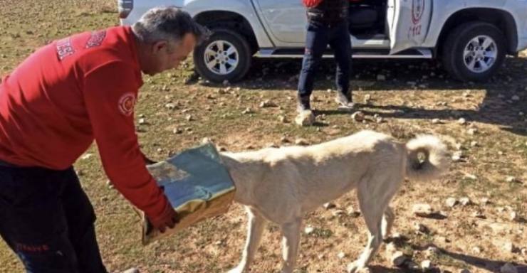 AFDD2FAC 05F7 42F3 9D0D 7F631041072C