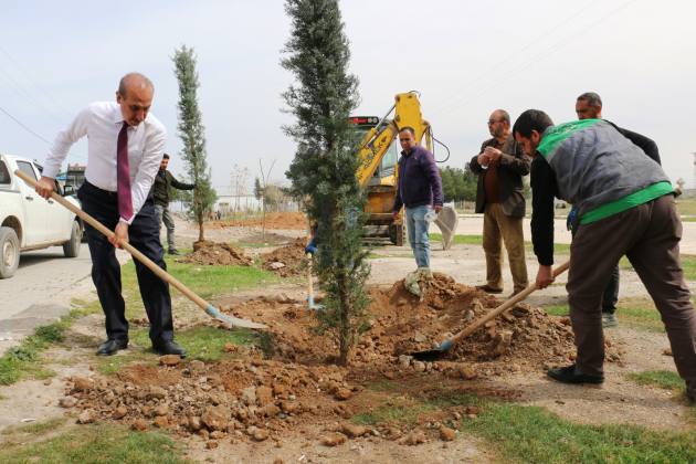 AKCAKALE BELEDIYESI DAHA YESIL BIR ILCCE ICIN CALISIYOR