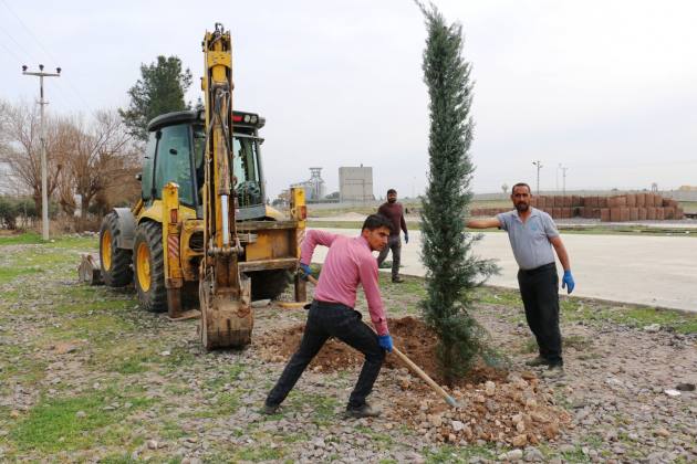 AKCAKALE BELEDIYESI DAHA YESIL BIR ILCE ICIN CALISIYOR 1