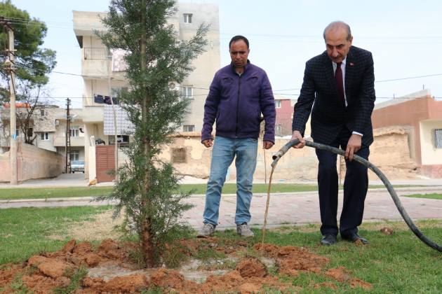 AKCAKALE BELEDIYESI DAHA YESIL BIR ILCE ICIN CALISIYOR 3