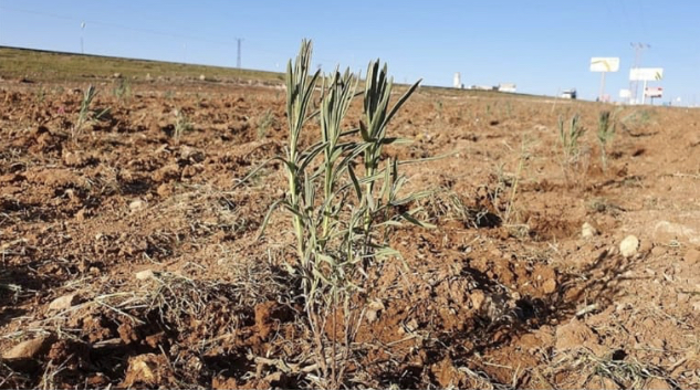 D7922719 5D24 4539 A488 CC1BE7BBC3D4