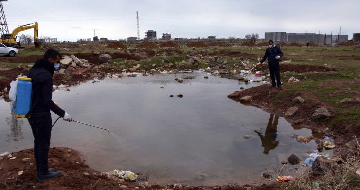 larva ile mücadele erken başladı 14 F6FCDCD1 0BA4 452F 9743 E4D5CF3CE7CF