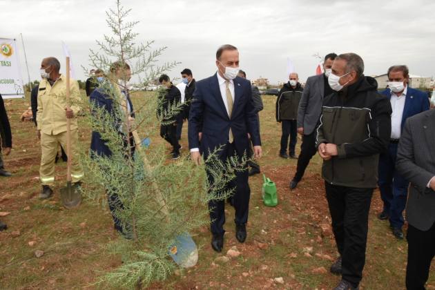 Osmanbey’de Bir Orman Oluşturuluyor 6 FC1A0995 B24B 4F8E BE17 C2D7701C21BB