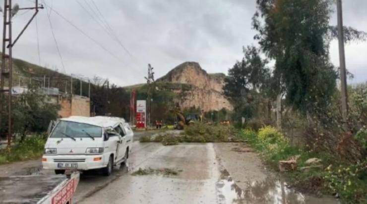 Şanlıurfa’da fırtına; ağaçlar devrildi, 4 araç hasar gördü