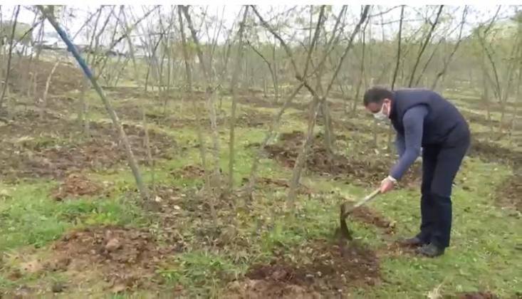 Vali Sonel, Fındık Bahçesinde Çapa Yaptı 6 WhatsApp Image 2021 03 31 at 18.13.13