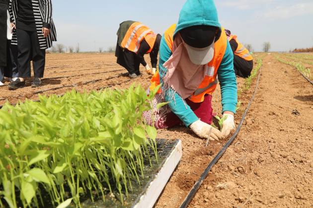 180FE2A0 64B4 42A8 BD2C CD899E667C0B