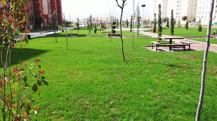 24B4763B 4AED 4822 B530 2DA18554C142