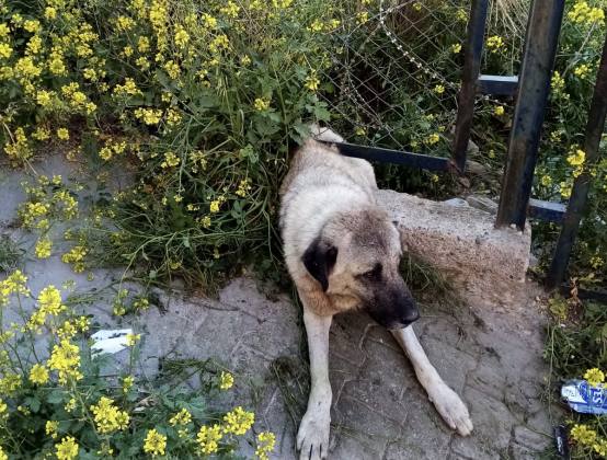 38E6AF73 9C23 4B2F A6C0 AFBE99372AD0