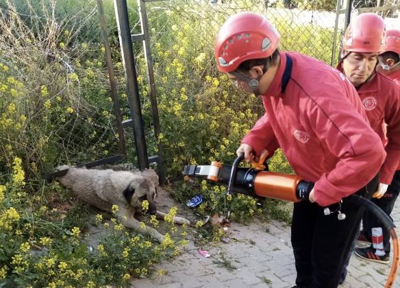 3CD82A51 5C2B 43A6 9FDB A2C807B4EE59