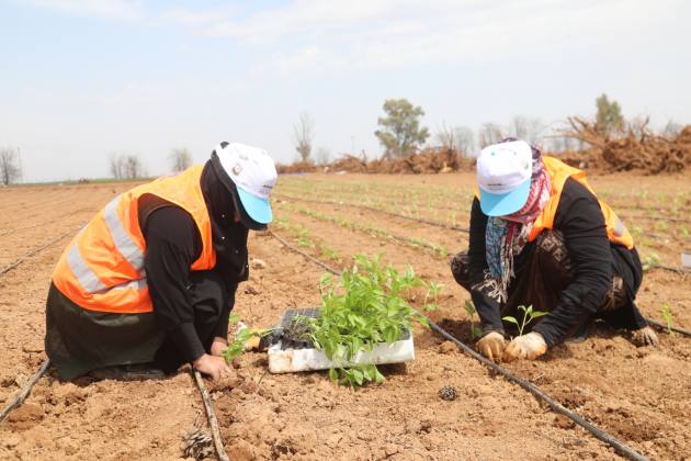 67197DF1 4850 41EF B861 F348CF1FFC15