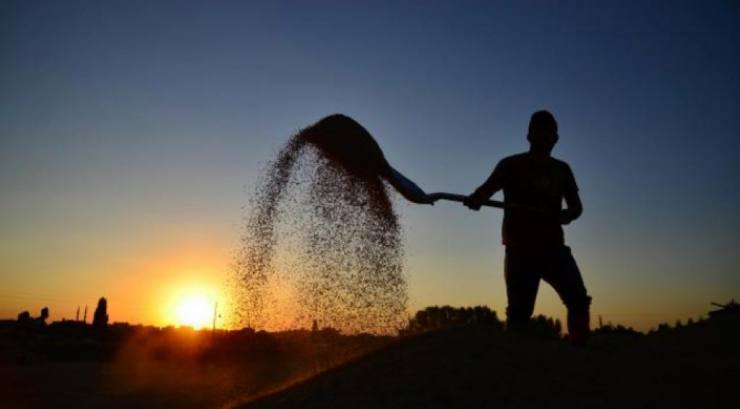 WhatsApp Image 2021 04 10 at 18.10.57