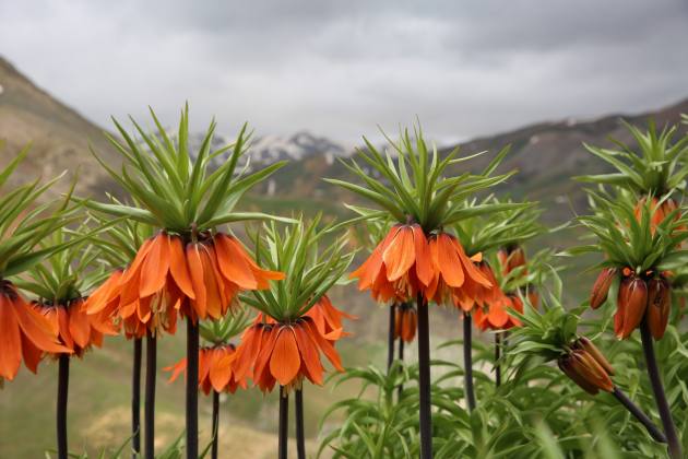 16C9B197 FC4A 4480 BA68 10A9D2F47ABF