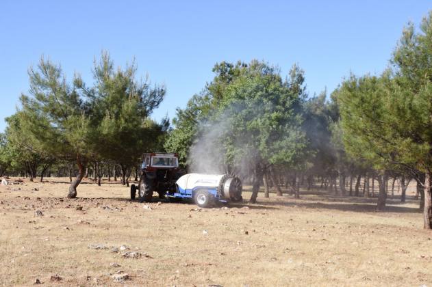 1CF393FE 0050 46A0 99D9 778D7EF1AF0C