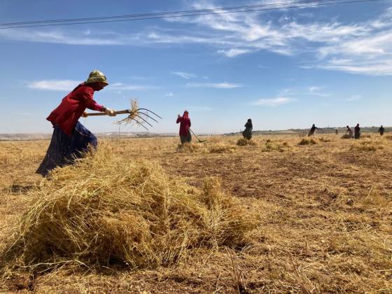 5161FE4B 09D2 435F BE25 98420447C6BB