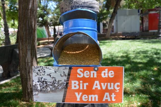 6C447582 02A3 4690 88A3 66040F663F8D