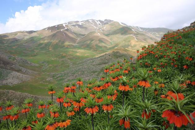 dağlar renklendi 6 7751C98E BC6C 4F75 8EFB 638BB55CEAD8