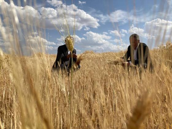 8AF104B5 688F 4436 B59E 492275FC66C9