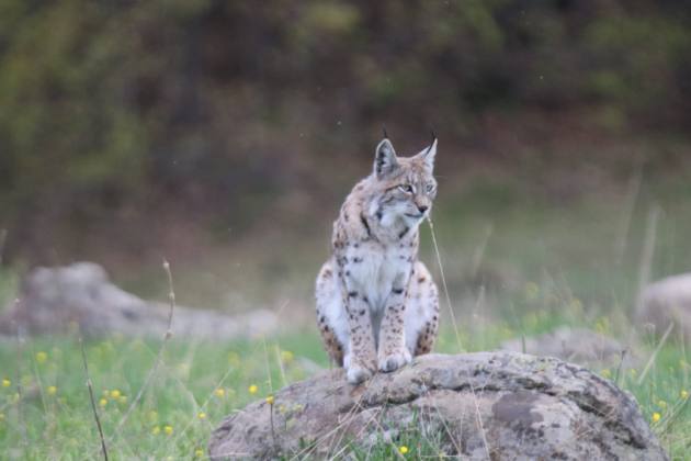 WhatsApp Image 2021 05 06 at 10.45.42