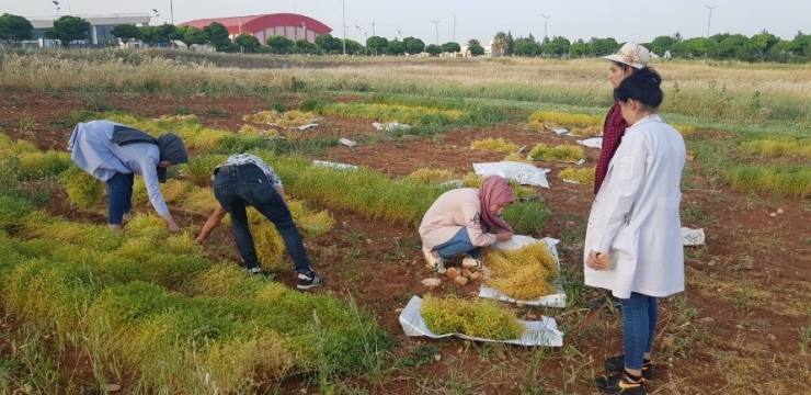 0612BBFE CD3B 4649 A758 264C1C0BA68B