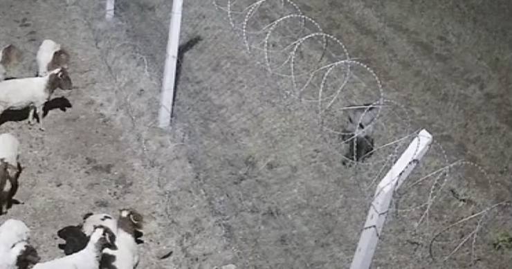 1BEDE30A 2CAA 4E00 AD45 EFD0424B2A09