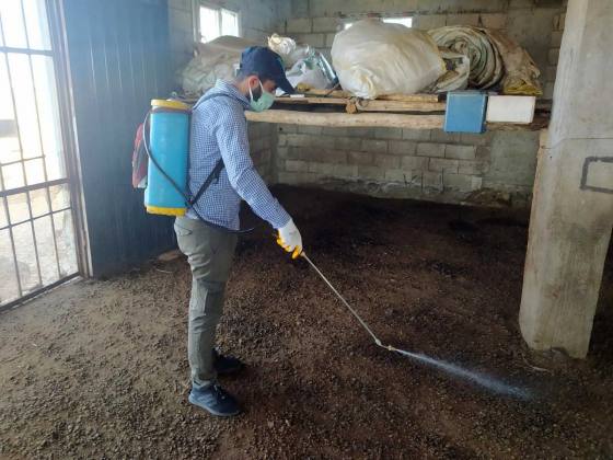 2BF11A30 5033 49BA 82A8 9E9D77AA9958