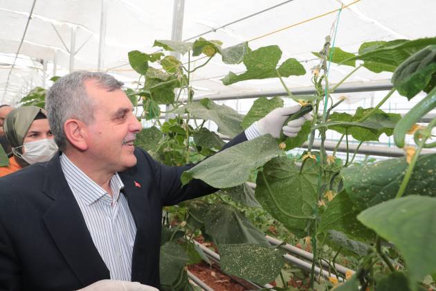 2C49A0DC 7429 4F0D 993A 28AE4FC7E273