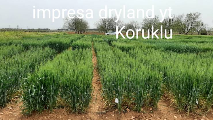 3D0B1655 50A2 465C 880D 2310C85E1B1B