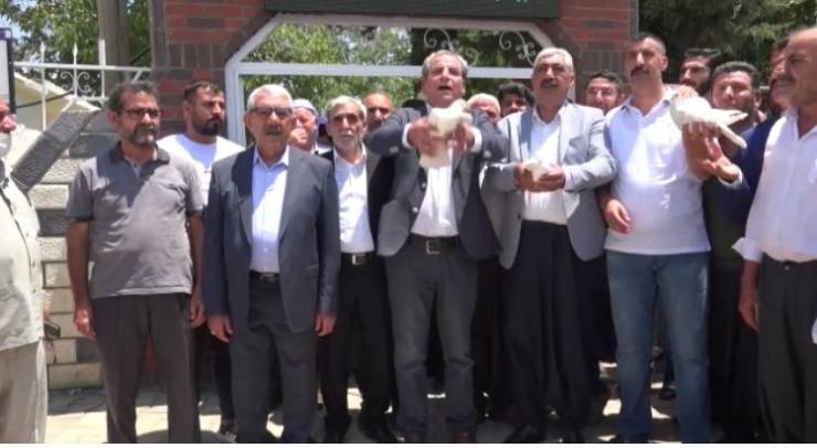 CF49E873 5040 4BBC AB58 00401825823B